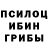 Псилоцибиновые грибы Cubensis Yaryaggub