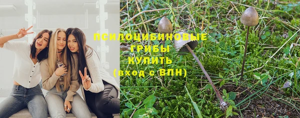 не бодяженный Краснослободск