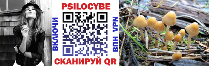 Купить закладки  Асбест  Псилоцибиновые грибы Cubensis 